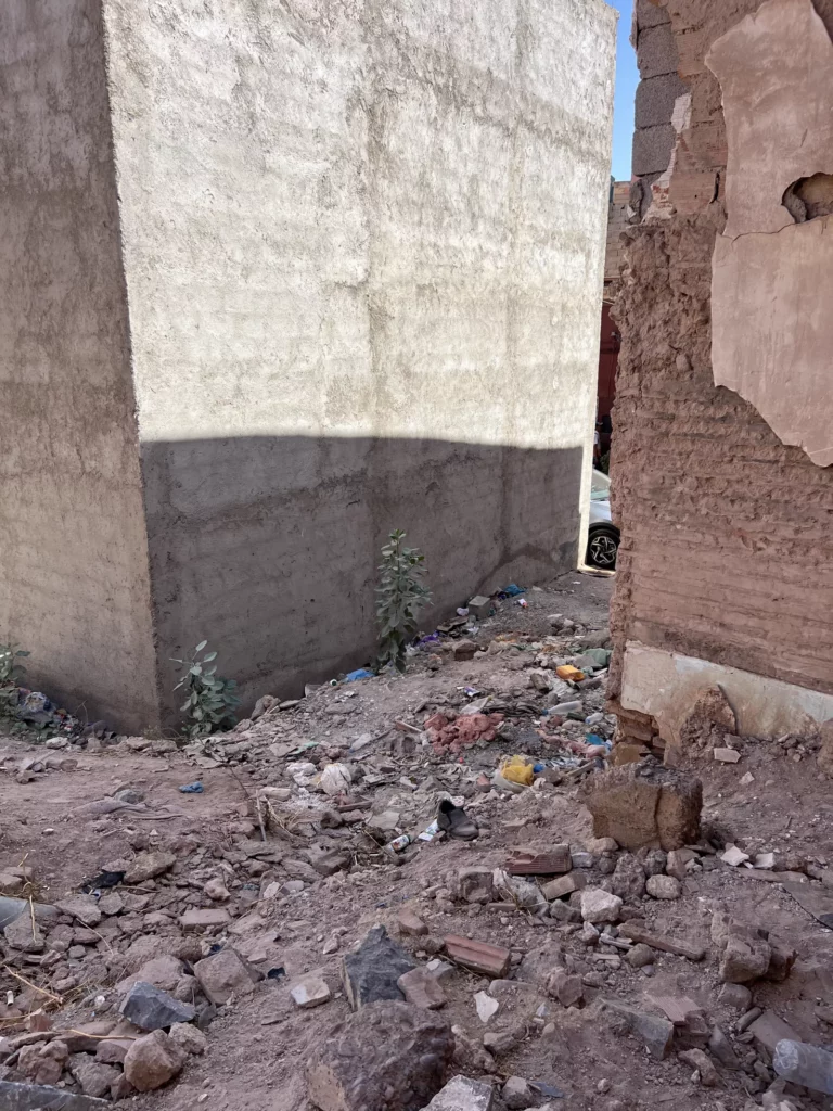 Riad à vendre, Bab Doukkala — photo 3
